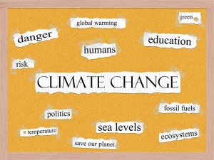 climatechangewords