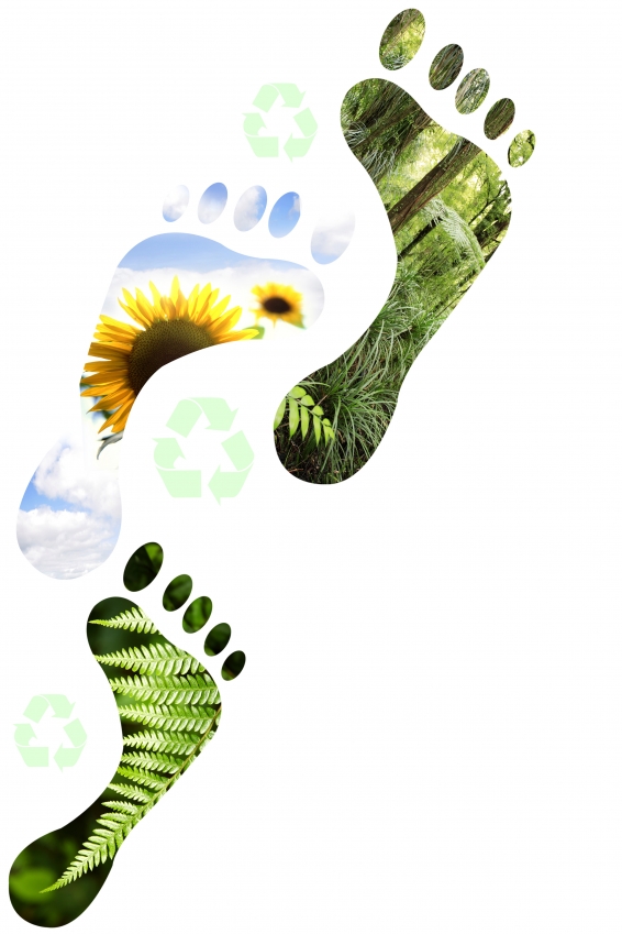 carbon-footprint_flowr